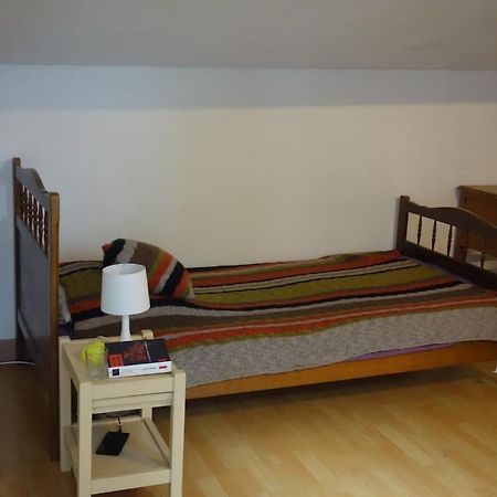 Bel Appartement Au Coeur Du Puy En Velay Le Puy-en-Velay Eksteriør bilde