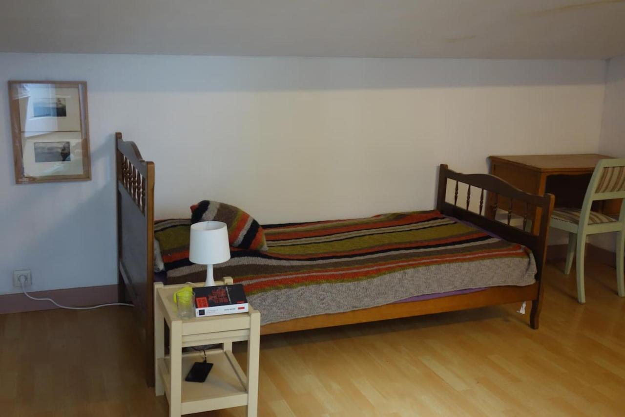 Bel Appartement Au Coeur Du Puy En Velay Le Puy-en-Velay Eksteriør bilde